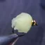 Flybox EGGSTASY in 2 Fl.Cheese